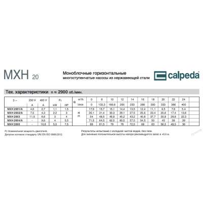 Горизонтальный многоступенчатый насосный агрегат Calpeda MXH 2002